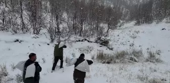 Siirt'te Yaban Hayvanları İçin Yemleme Çalışması Başlatıldı