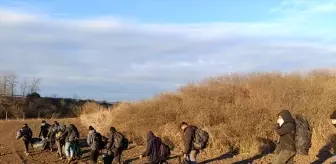 Tekirdağ'da 12 Düzensiz Göçmen Yakalandı