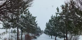 Ulaş Gölü, Kar Yağışının Ardından Beyaza Büründü