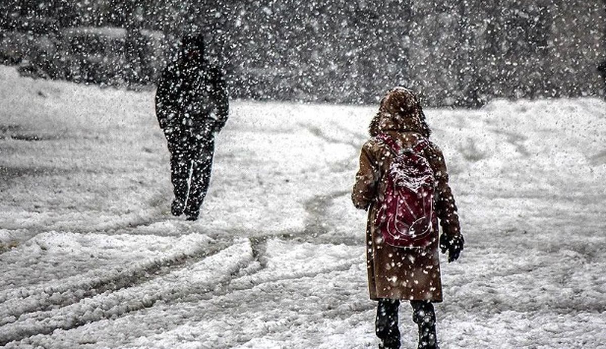 Diyarbakır okullar tatil mi? 29 Kasım Cuma Diyarbakır'da okul yok mu (Diyarbakır Valiliği Açıklaması)?