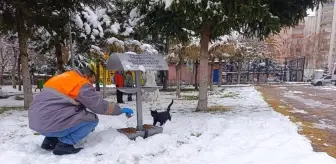 Melikgazi Belediyesi, Kış Şartlarında Sahipsiz Hayvanlara Yem Bıraktı