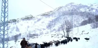 Muş'ta Besiciler Erken Kış Hazırlığı İçin Köylerine Döndü