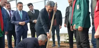 Silopi'de Tropikal Meyve Yetiştiriciliği İçin Protokol İmzalandı