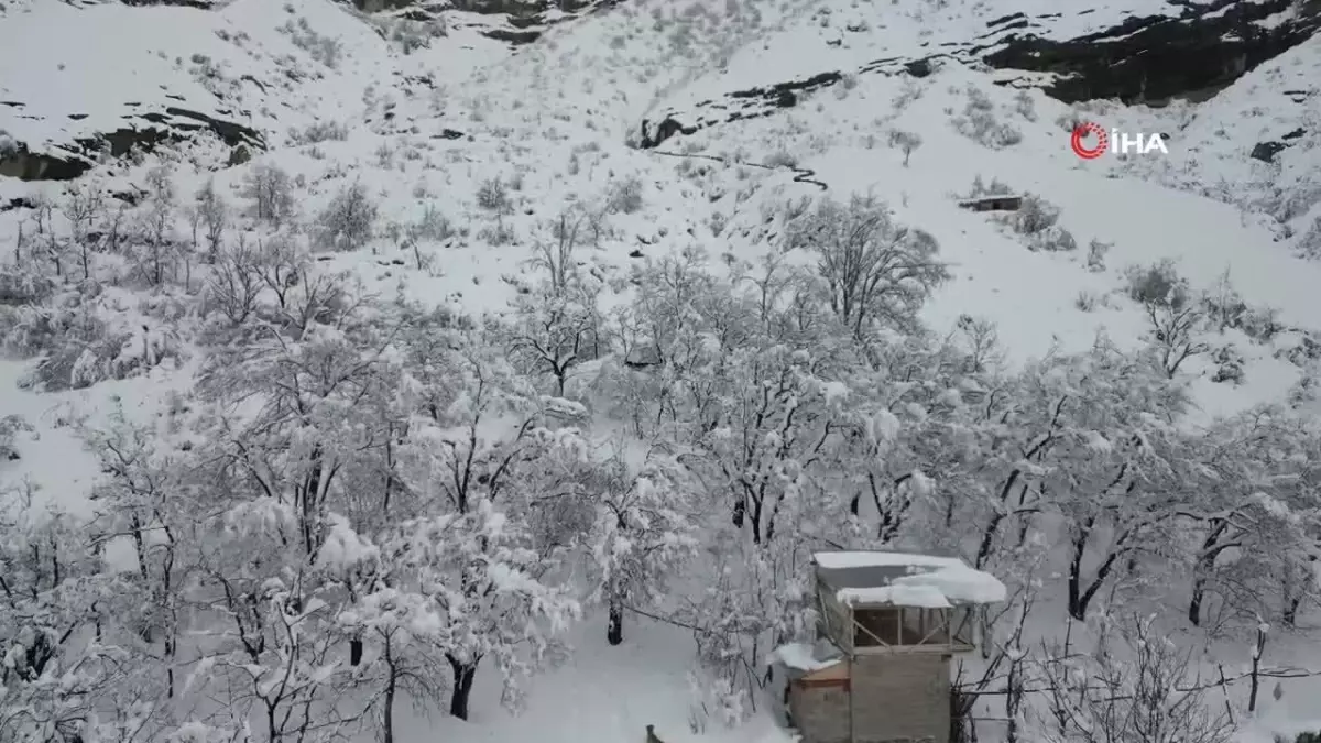 Uzundere'de Çığ Faciası: 350 Koyun Uçurumdan Düştü