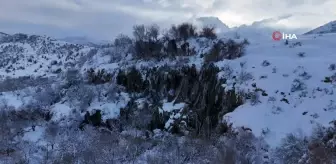 Buz Tutan Girlevik Şelalesi Göz Kamaştırıyor