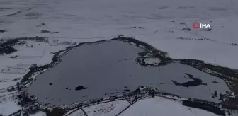 Hafik Gölü'nde Buzlu Manzara ve Sakarmeke Kuşları