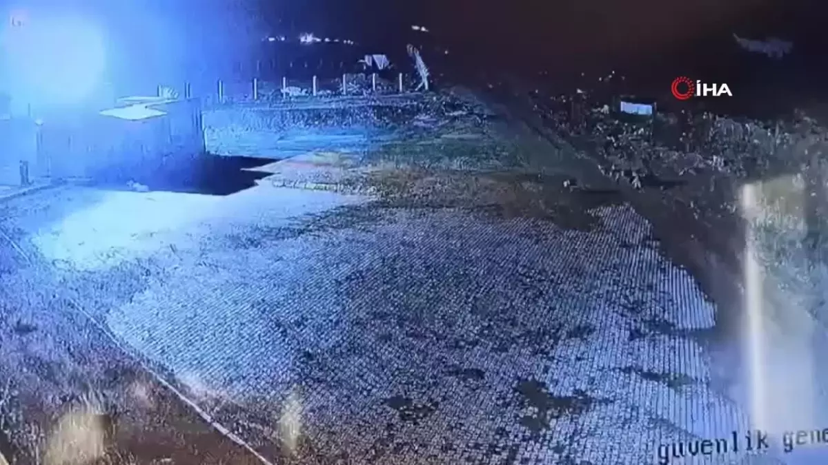 Gümüşhane'de Kurt Sürüsü Bekçi Köpeğini Parçaladı