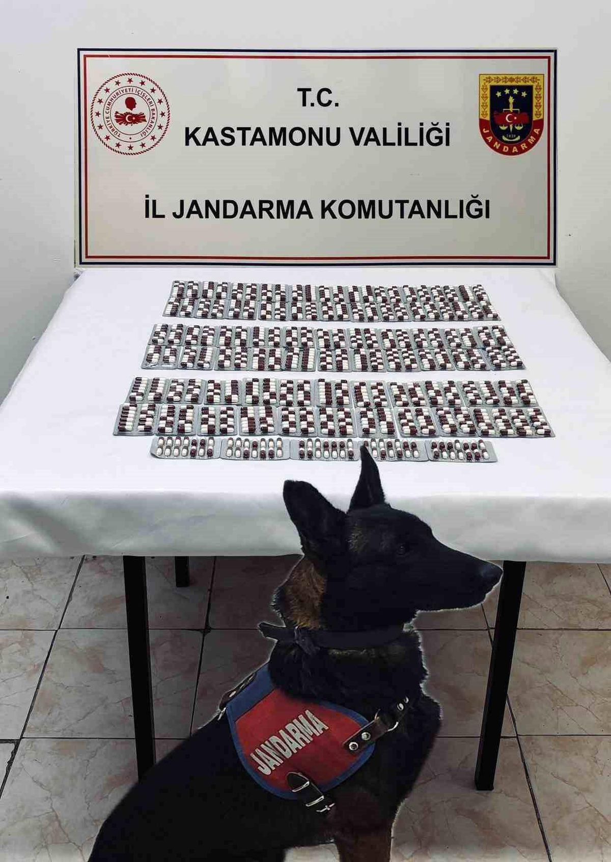 Kastamonu'da Uyuşturucu Operasyonu: 991 Sentetik Ecza Hapı Ele Geçirildi
