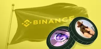 Binance memecoin projeleri için yeni kriterler belirledi