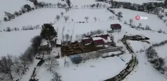 Erzincan'da Erken Yağan Kar, Besicileri Sürüleriyle Geri Dönmeye Zorladı