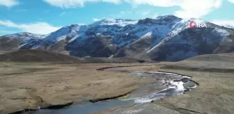 Kar nedeniyle boşalan yayla doğaseverleri bekliyor