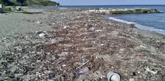 Karadeniz'deki Çöp Kirliliği Artıyor: Sigara İzmati ve Plastik Atıklar Ön Planda