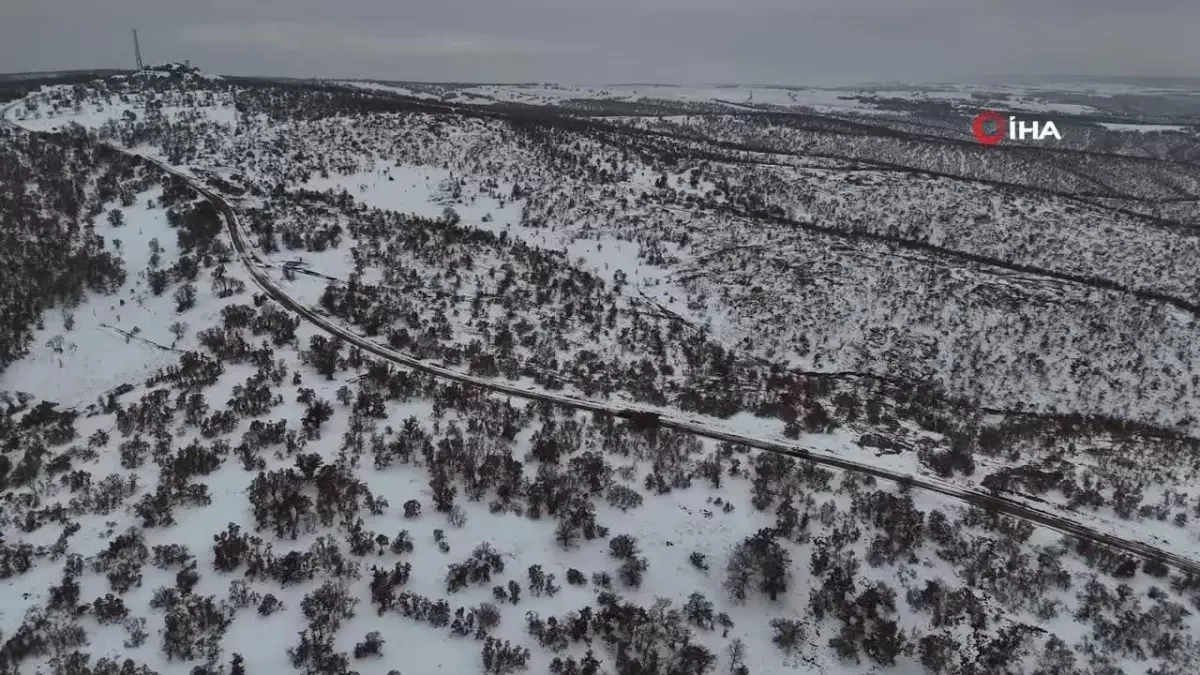 Karlı Dağları Aşarak Yaban Hayvanlarına Umut Oldular