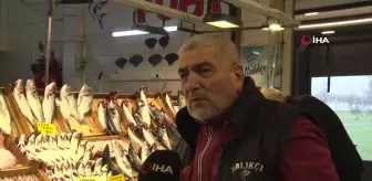 Kocaeli'de Balık Tezgahları Çinekop ve Hamsi ile Şenleniyor