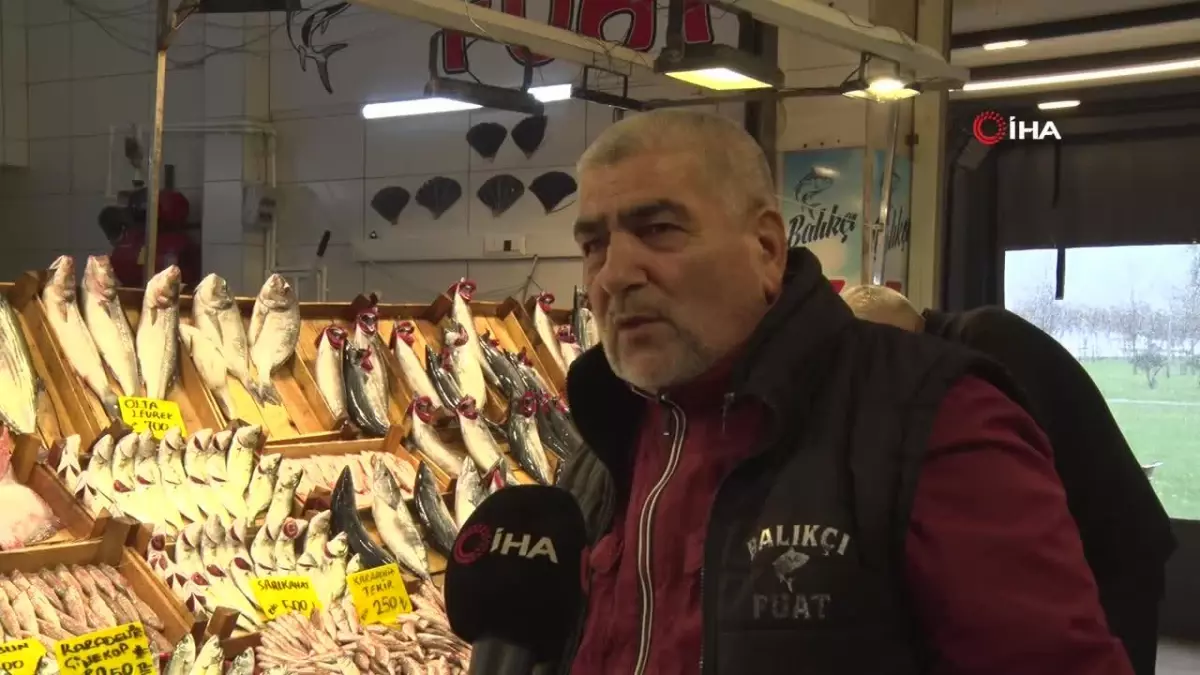 Kocaeli'de Balık Tezgahları Çinekop ve Hamsi ile Şenleniyor