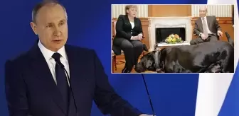 Putin'den Merkel'e 17 yıl sonra 'köpek özrü' geldi