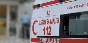 Diyarbakır'da Zihinsel Engelli Kişi Kardeşlerini Öldürdü, Babasını Yaraladı