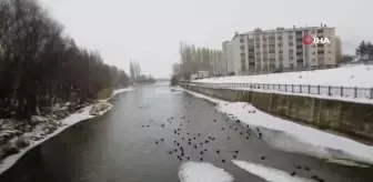 Bayburt'ta Çoruh Nehri Kısmi Buz Tuttu