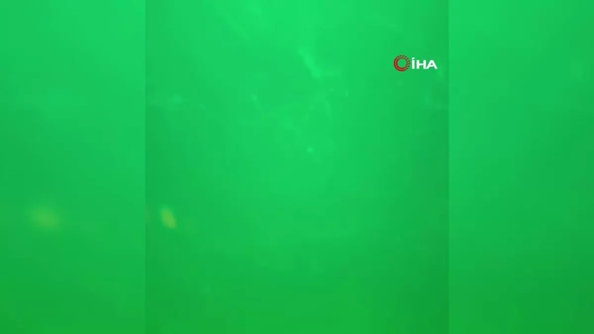 Marmara Denizi'nde Müsilaj Krizi: Durum Ciddileşiyor