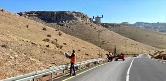 Mardin'de Türkmen Vadisi Alternatif Çevre Yoluna Güvenlik Önlemleri