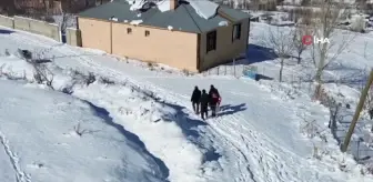 Van'da Kış Aylarında Aşı ve Küpe Çalışmaları Sürüyor