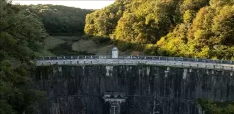 Belgrad Ormanı imara açılıyor iddiası doğru mu? DMM açıkladı