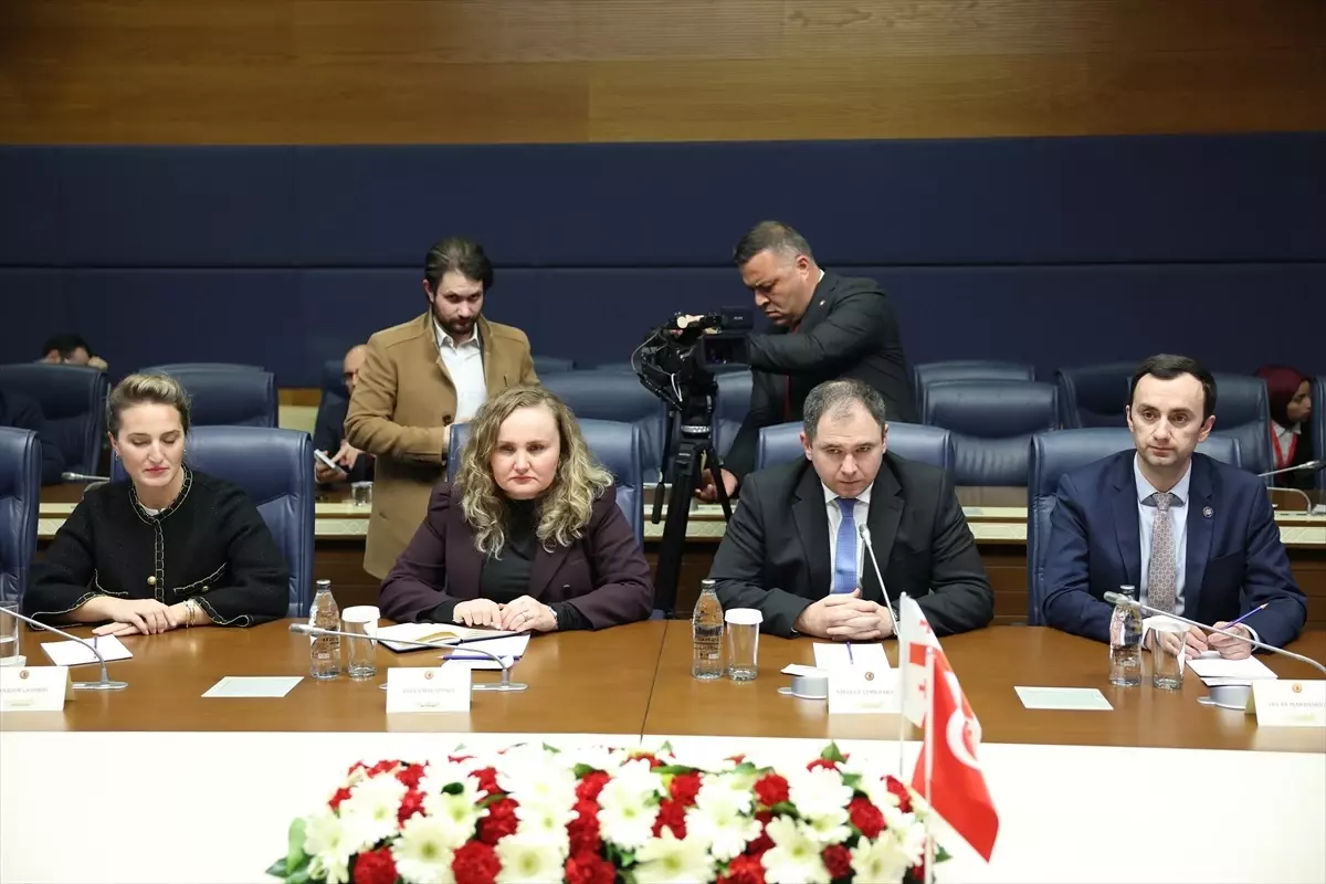 Türkiye ve Gürcistan Arasındaki Stratejik İlişkiler Güçleniyor