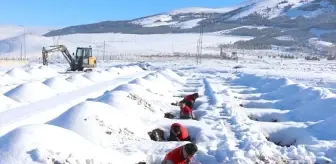 Erzurum'da Kış Hazırlığı: 500 Mezarlık Açıldı