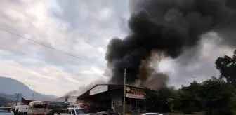 Alanya'da Mobilya Deposunda Yangın: 3 İş Yeri ve Muz Serası Zarar Gördü