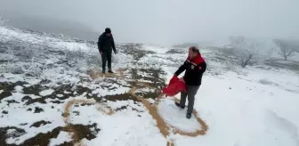 Erzincan'da Yabani Hayvanlar İçin Yem Bırakıldı