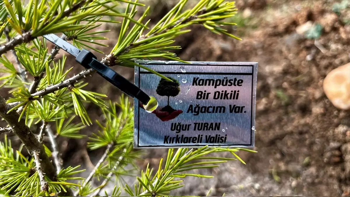 Kırklareli Üniversitesi'nde Fidan Dikme Etkinliği Düzenlendi