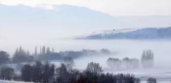 Sivas'ın Hafik İlçesinde Soğuk Hava ve Sis Etkili