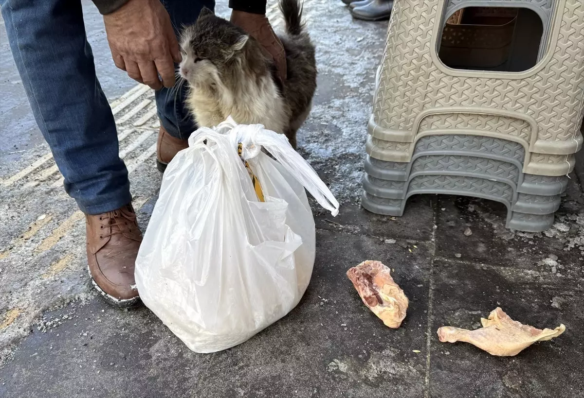 İsmet Amca'dan Hayvanlara Gönül Sohbeti