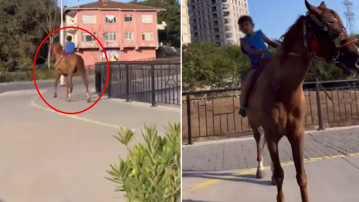 İstanbul'un göbeğinde küçük bir çocuk ata binerken görüntülendi