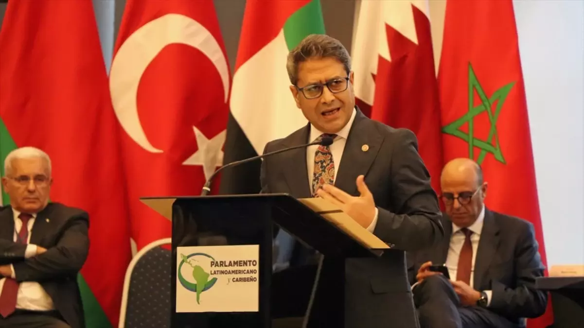 AK Parti Gaziantep Milletvekili Şahin, Parlatino Genel Kurulu'nda üyelere hitap etti Açıklaması