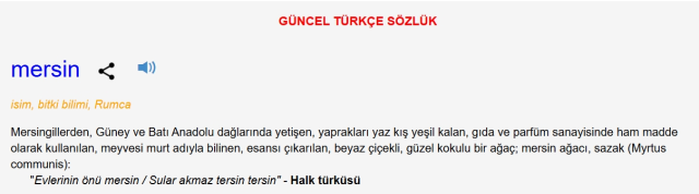 Sivas TDK sözlükte geçiyor mu?
