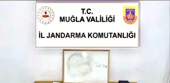 Bodrum'da Kumar ve Silah Operasyonu: Çok Sayıda Malzeme Ele Geçirildi