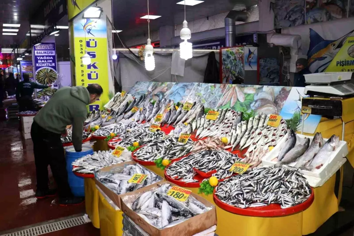 Malatya'da Soğuk Havalarla Balık Fiyatları Yükseldi