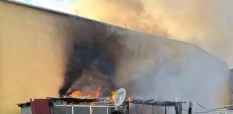 Tekirdağ'da Koyun Ağılında Yangın Çıktı