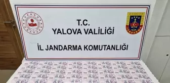 Yalova'da Sahte Para Operasyonu: İki Şüpheli Tutuklandı