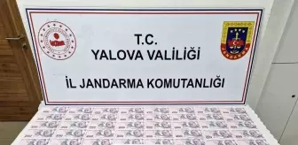 Yalova'da Sahte Para Operasyonu: 2 Tutuklama