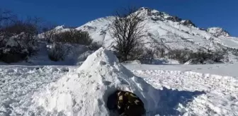 Bülent Erkan'dan Kış Şartlarına Uygun Kar Mağarası.