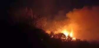 Hatay Dörtyol'da Sazlık Alanında Yangın Çıktı