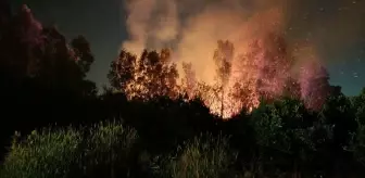 Hatay'da Sazlık Alanda Yangın Kontrol Altına Alındı