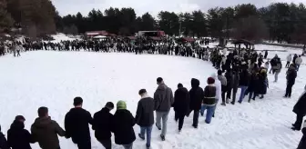 Bolu'da Geleneksel Hamsi Festivali Renkli Anlara Ev Sahipliği Yaptı