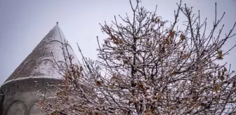 Doğu Anadolu'da Kar Yağışı Etkili Oldu