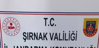 Cizre'de Yasaklı Kınalı Keklik Ticareti Yapanlara Ceza