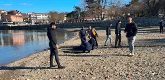 Amasra'da Amatör Dalgıçın Sit Alanında Dalışı Skandala Neden Oldu