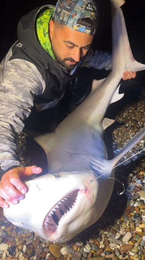 He Cradled the Shark and Released It Back into the Sea in Antalya