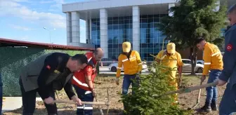 Bafra Devlet Hastanesi Bahçesine Fidan Dikimi Yapıldı